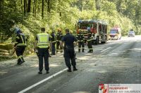 _2026-06-04 Baum über Strasse B141 Pramwald-1678